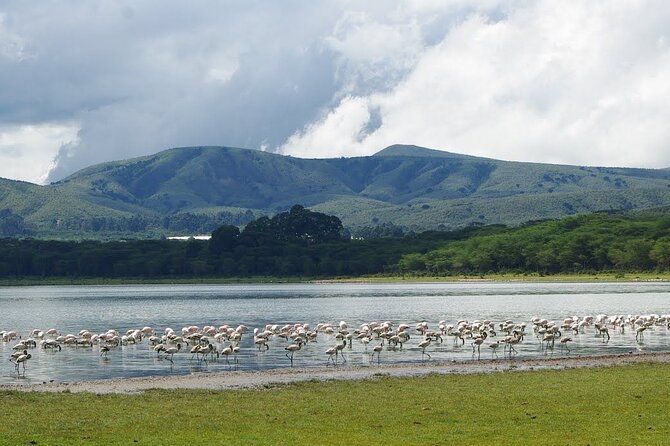 Full-Day Lake Nakuru National Park Private Tour from Nairobi - The afternoon drive and the route toward Naivasha