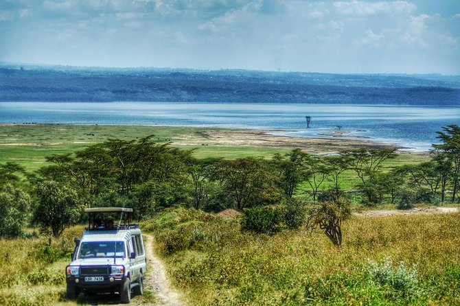 Full Day Lake Nakuru Park and optional boat ride on Lake Naivasha - The real price: $202 plus several extras