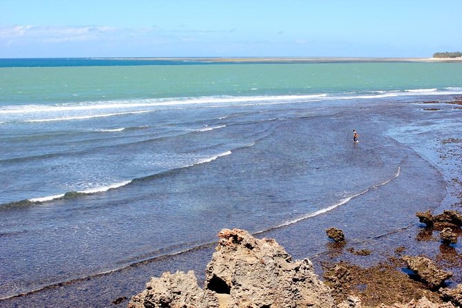 Full Day Mombasa Excursion Tour - Fort Jesus, two hours of coastal history