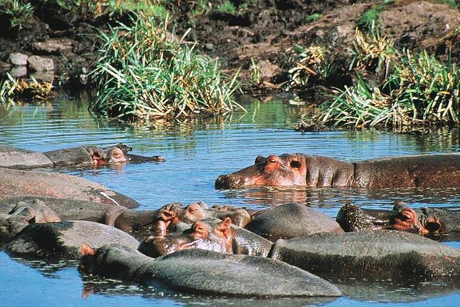 Full Day Mombasa Excursion Tour - Who will enjoy this full-day route