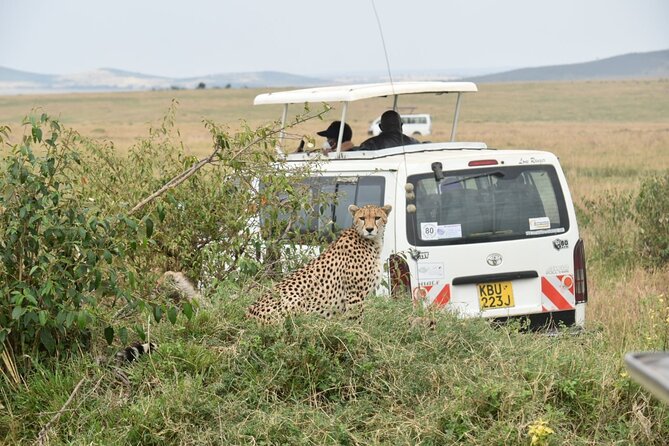 Full Day Private Tour of Tsavo East National Park from Mombasa - What $315 means for the value