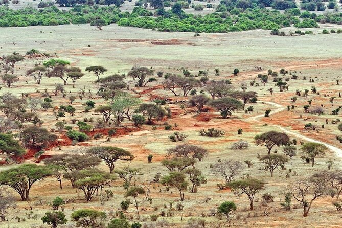 Full Day Private Tour of Tsavo East National Park from Mombasa - Who should book this safari