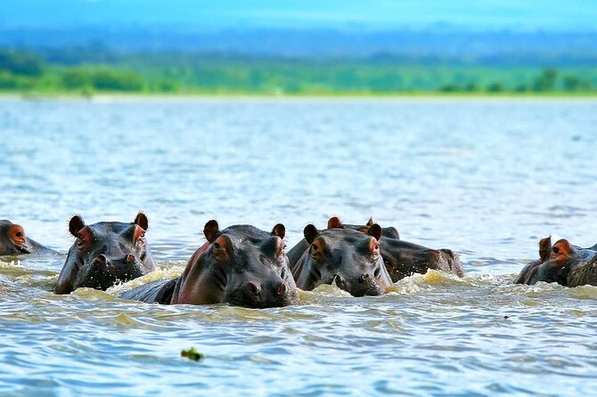 Full day private tour to Hells Gate National park from Nairobi. - Practical planning for a better day