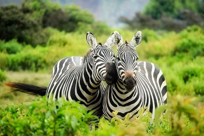Full day private tour to Hells Gate National park from Nairobi. - The 8 am departure and Great Rift Valley viewpoint