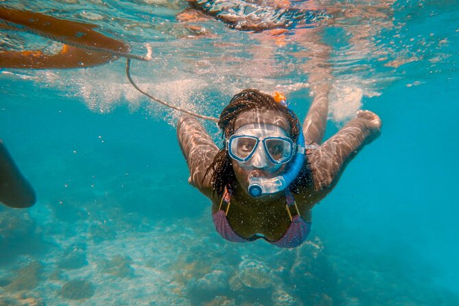 Full-Day Special Wasini Island Tour with Snorkeling and Lunch - Why Kisite-Mpunguti is worth the early start