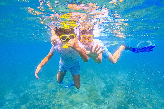 Full-Day Special Wasini Island Tour with Snorkeling and Lunch - Wasini’s Coral Garden and village walk
