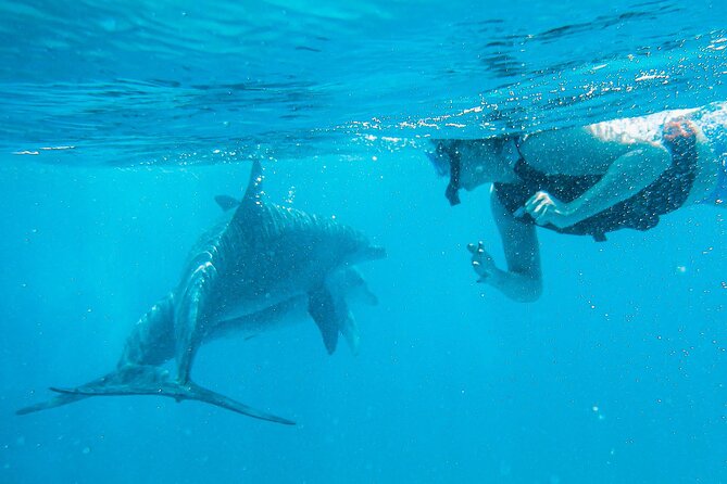 Full-Day Special Wasini Island Tour with Snorkeling and Lunch - The Slave Caves, and why the final stop may feel rushed