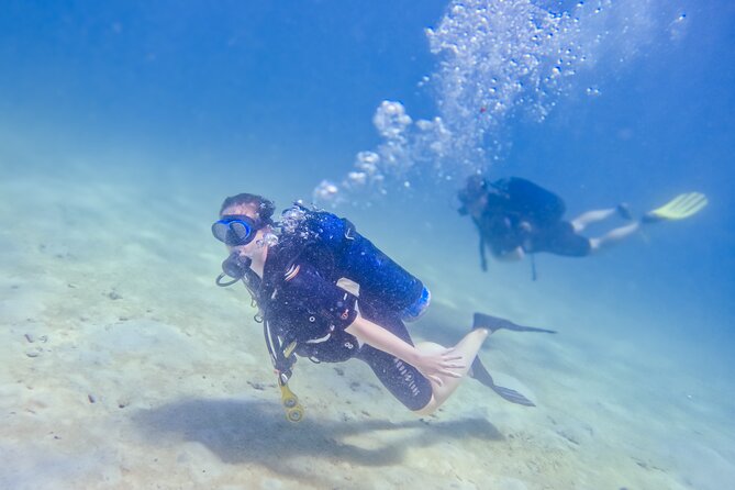 Full-Day Special Wasini Island Tour with Snorkeling and Lunch - Who should book this Wasini Island day?