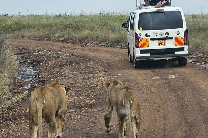 Full Day Tour in Amboseli National Park from Nairobi - Oltukai Lodge and the middle of the day