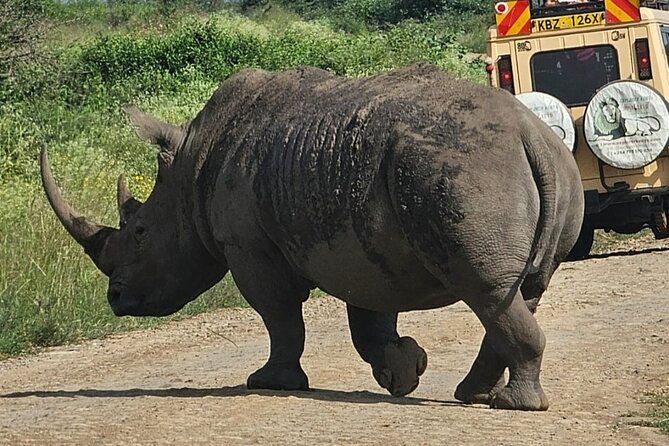 Full Day Tour in Amboseli National Park from Nairobi - The afternoon exit drive