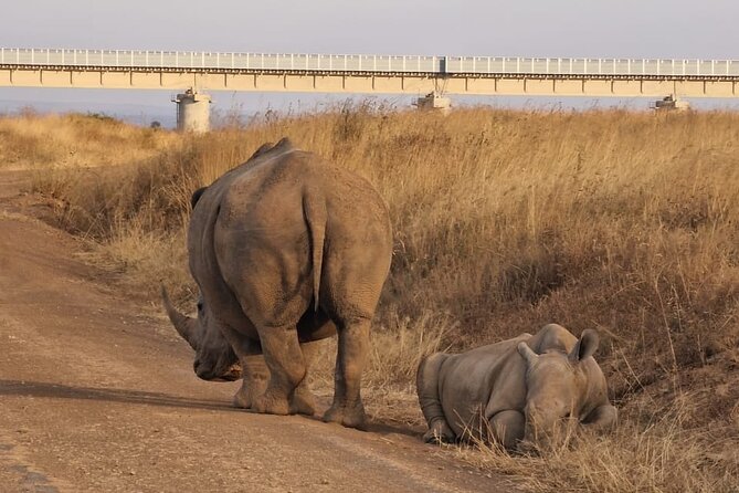 Full Day Tour in Amboseli National Park from Nairobi - A planned Maasai village visit