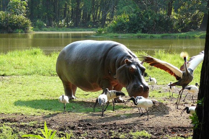 Full-Day Tour of Mombasa - Sampling local food at your own cost