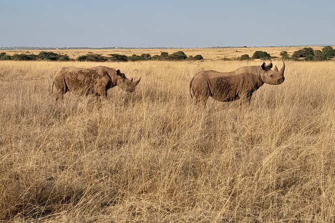 Full Day tour to Lake Nakuru National Park From Nairobi - The extra game drive on the way out