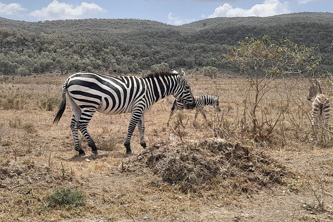 Full Day tour to Lake Nakuru National Park From Nairobi - Lake Naivasha by motor boat