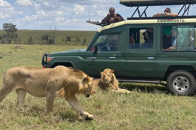 Full Day tour to Lake Nakuru National Park From Nairobi - What the $160 price really covers