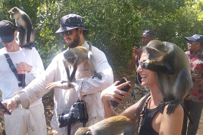 Gede Ruins & Malindi Tour - Malindi brings the story into the present