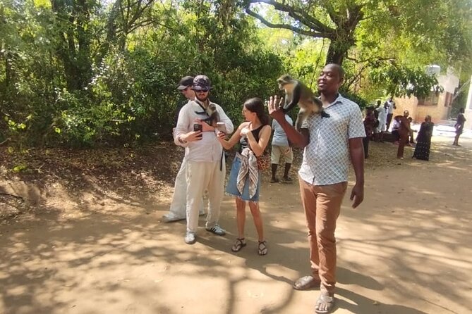 Gede Ruins & Malindi Tour - A private vehicle changes the pace