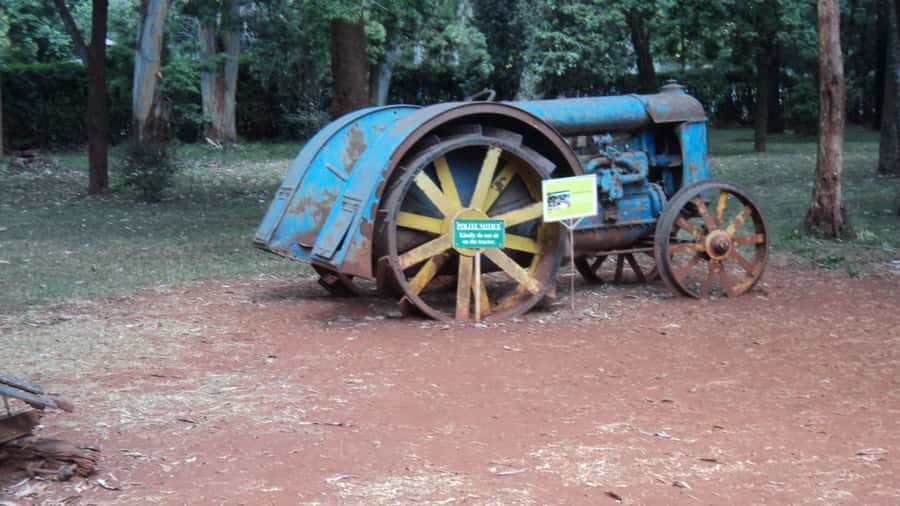 Giraffe Center and Karen Blixen Museum Tour from Nairobi - Karen Blixen Museum: a quiet start with Ngong Hills views