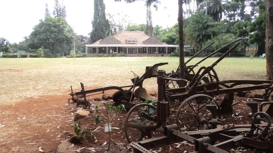 Giraffe Center and Karen Blixen Museum Tour from Nairobi - Timing, traffic, and what four to five hours really means