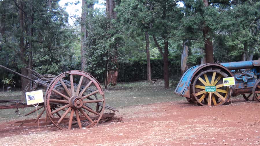 Giraffe Center and Karen Blixen Museum Tour from Nairobi - Is $99 a fair price?