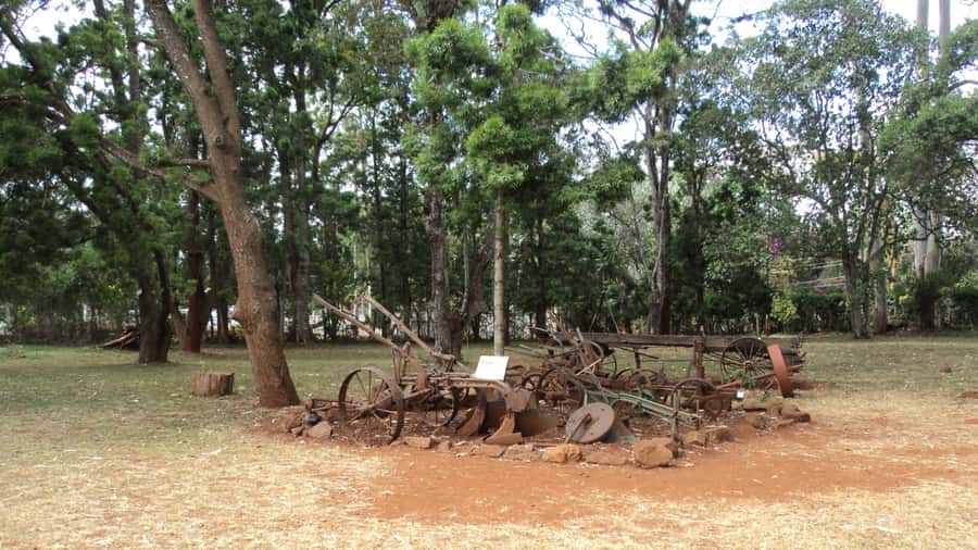 Giraffe Center and Karen Blixen Museum Tour from Nairobi - Should you book it?