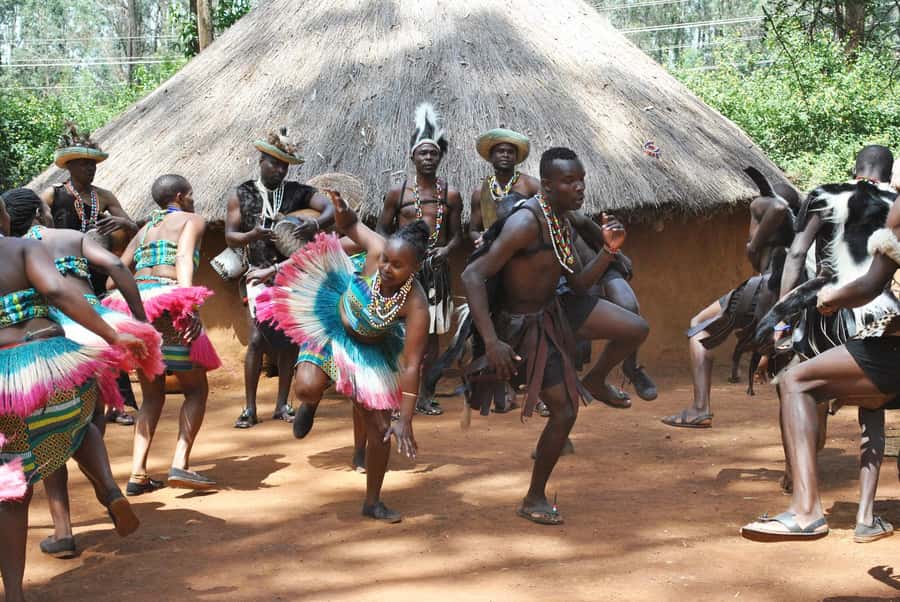 Giraffe Center, Elephant Orphanage and Bomas of Kenya Tour - The van ride and group experience