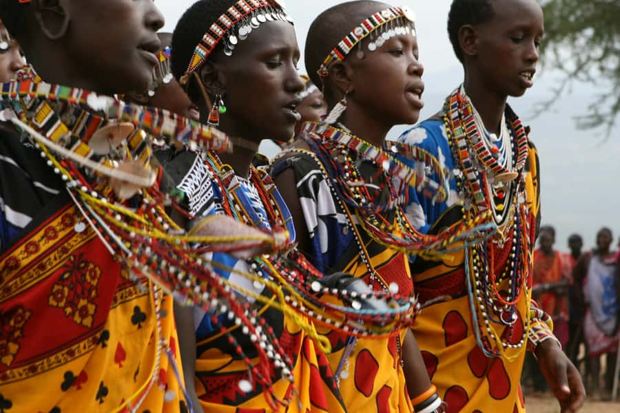 Giraffe Center, Elephant Orphanage and Bomas of Kenya Tour - Is $115 a fair price?