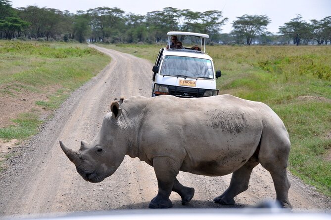 Giraffe Center, Elephant Orphanage and Nairobi National Park Day Tour Nairobi - Nairobi National Park by open-roof safari van