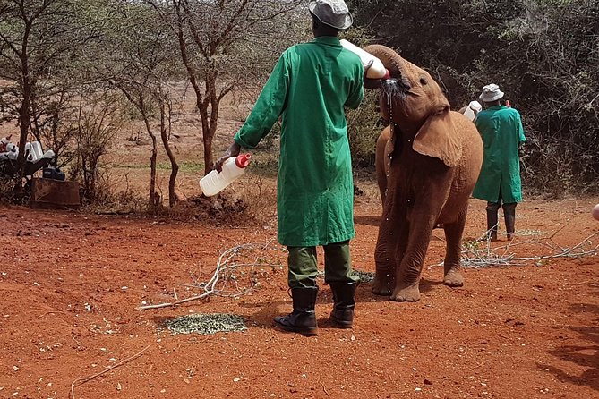 Giraffe Center, Elephant Orphanage, Beads Center & Bomas of Kenya Tour Nairobi - Why this Nairobi combination works