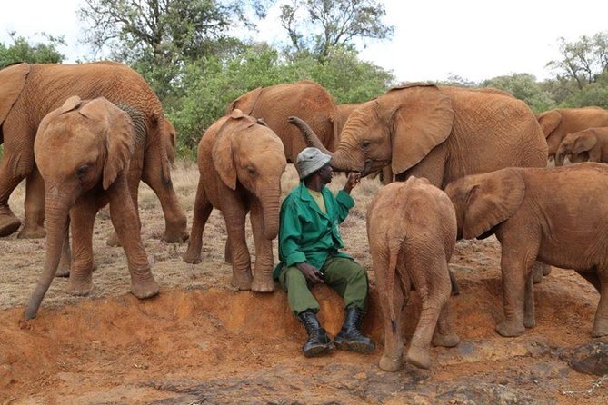 Giraffe Center, Elephant Orphanage, Beads Center & Bomas of Kenya Tour Nairobi - Timing, transport, and guide quality