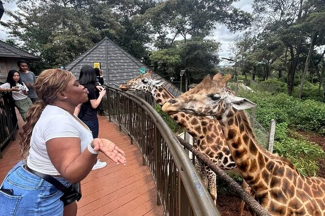 Giraffe Centre and Bomas of Kenya from Nairobi - Three Nairobi highlights in one day