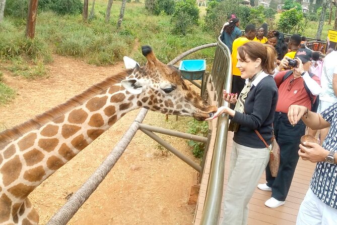 Giraffe Centre and Bomas of Kenya from Nairobi - Kenyan culture at Bomas of Kenya