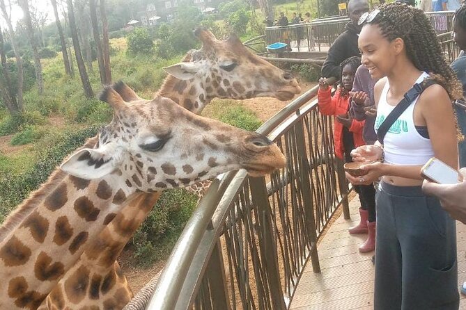 Giraffe Centre and Bomas of Kenya from Nairobi - Who will enjoy this Nairobi outing most