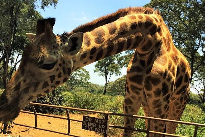 Giraffe Centre and Bomas of Kenya Full-Day Tour from Nairobi - From clay to finished beads at Kazuri