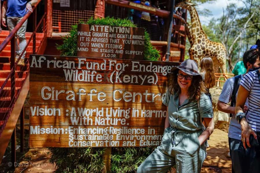 Giraffe, Elephant Orphanage - Key points to know before booking