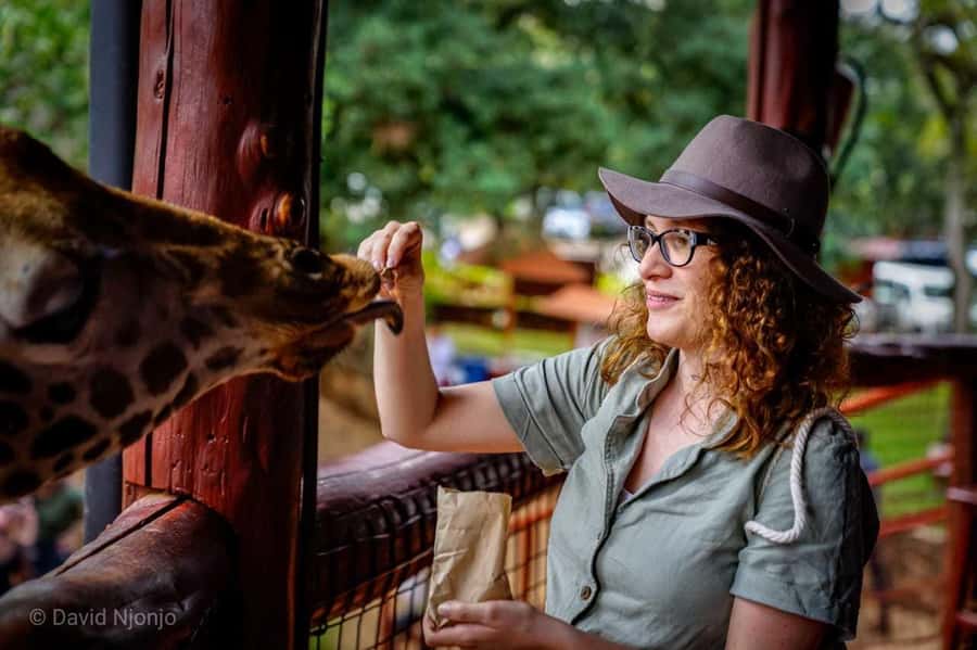 Giraffe, Elephant Orphanage - A full Nairobi day built around wildlife