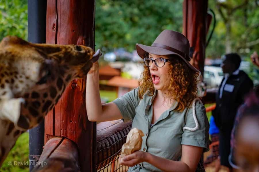 Giraffe, Elephant Orphanage - Watching the orphaned elephants take their bottles