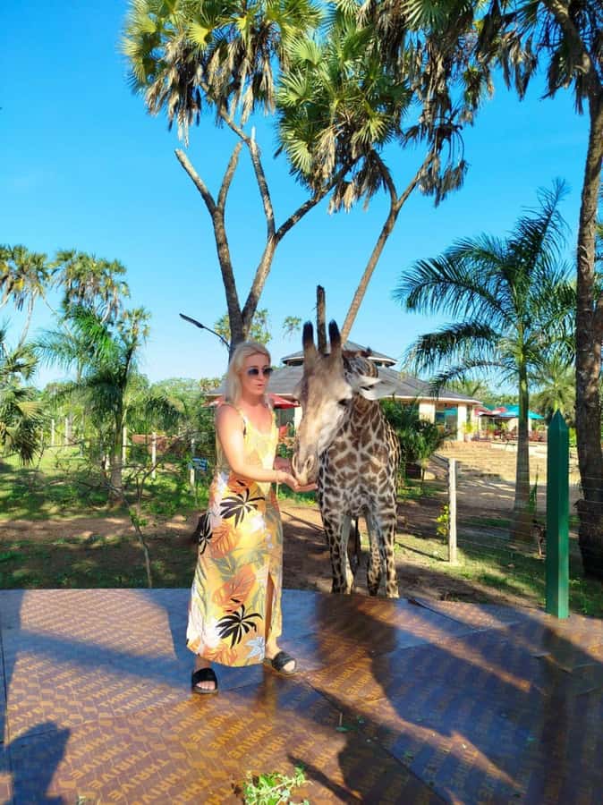 giraffe feeding - The 10:00 pickup and short drive from Diani