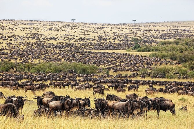 Great Wildebeest Migration Safari in Masai Mara - Day one: the Rift Valley and an evening in Masai Mara
