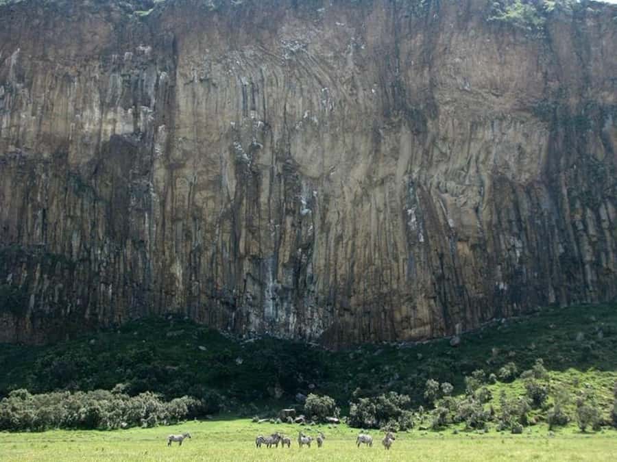 Group joining day tour to Hell's Gate and Lake Naivasha - Walking with giraffes at Crescent Island