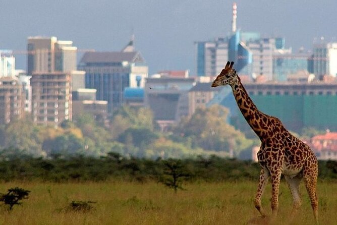 Group Joining Nairobi National Park and Giraffe Center - A city safari that begins before breakfast