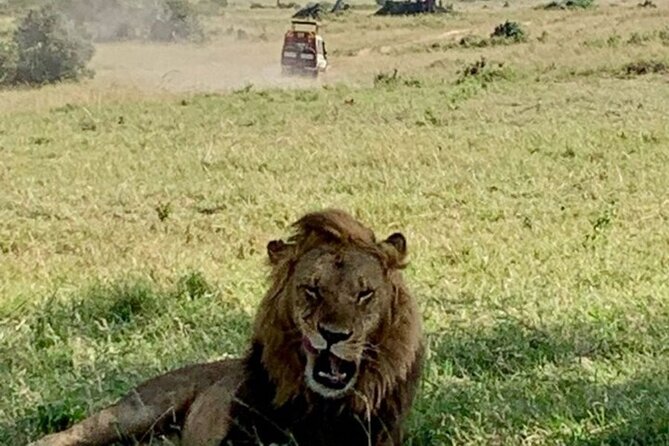 Group Joining Nairobi National Park and Giraffe Center - Who will enjoy this Nairobi outing?