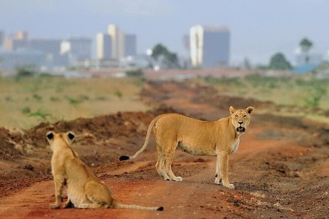 Group Joining Nairobi National Park and Giraffe Center - Timing, pickup, and cancellation advice