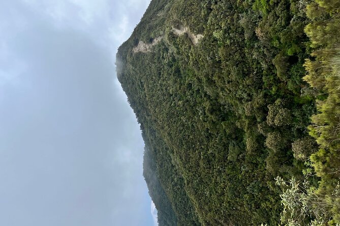 Guided Mount Longonot Hiking Day Trip - What the $95 price really covers