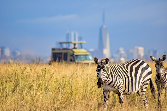 Half Day Nairobi National park - The $290 price and what it really buys