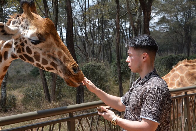 Half-Day Nairobi National Park and Maasai Market with Pick up - Who should book this experience?