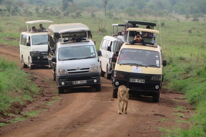 Half-Day Nairobi National Park Safari from Nairobi with Free Pickup - Guide quality can turn a short drive into a good safari