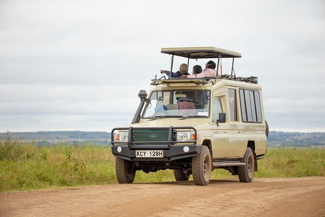 Half-Day Private Guided Safari Tour to Nairobi National Park - The 6:00 am start and Nairobi pickup