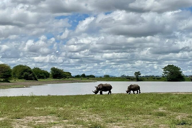 Half Day Private Tour in Nairobi National Park with Admission - The final 40 minutes at coffee and gift shops