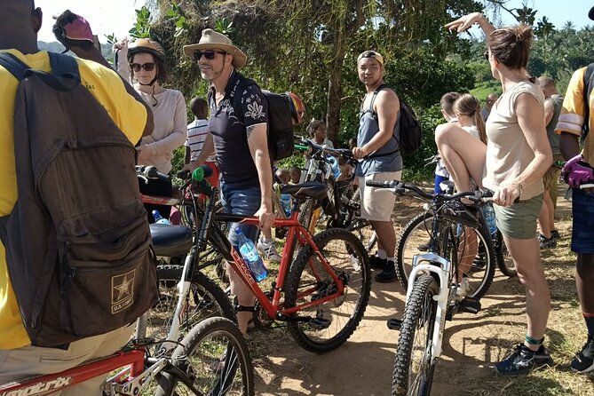 Half-Day Scenic Bike Tour - What the scenery feels like from the saddle